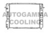 AUTOGAMMA 102256 Radiator, engine cooling